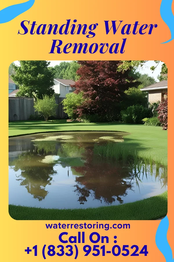 Standing Water Removal in Bloomfield, MO